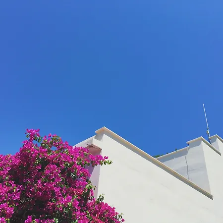 Masseria Macchia&Relais San Pio-2